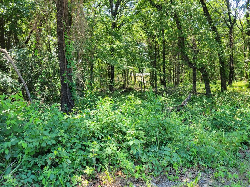 Alberta Creek Road Property Photo 1