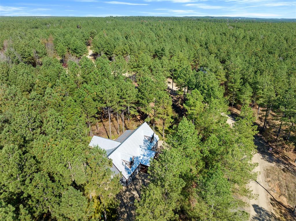 217 Cedar Hills Trail Property Photo 48