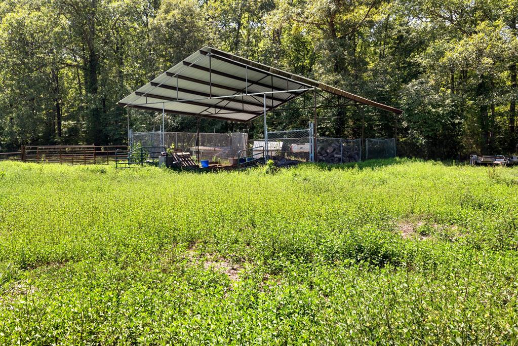 3340 Whitefish Road Property Photo 44