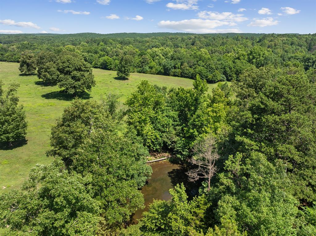 3340 Whitefish Road Property Photo 49