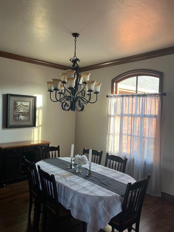 17817 Prairie Sky Way Property Photo 16
