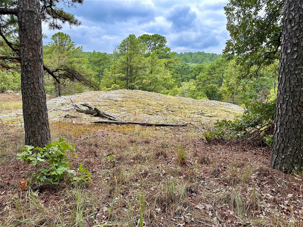 123 Sherman Road Property Photo 1