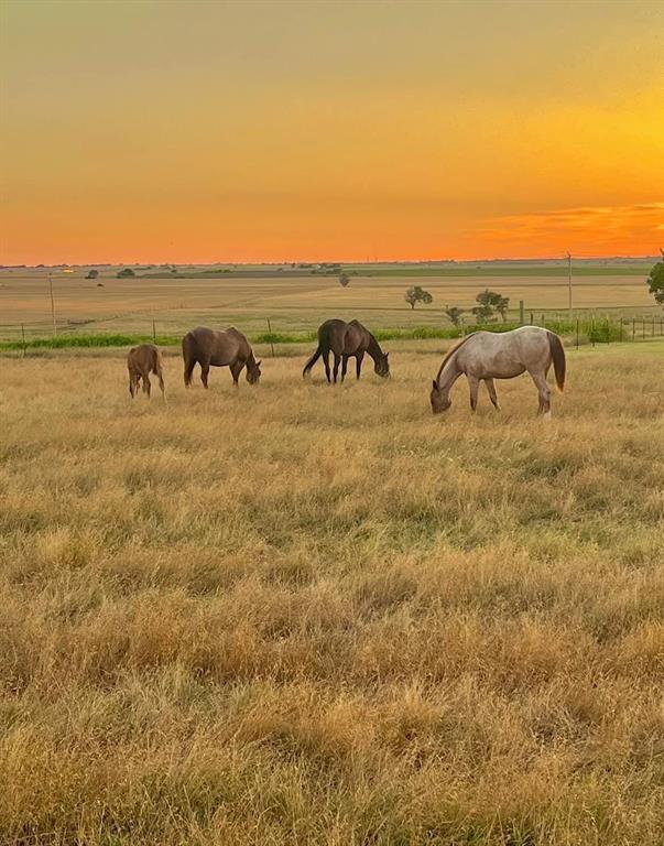 3 Ecr 157 Property Photo 1