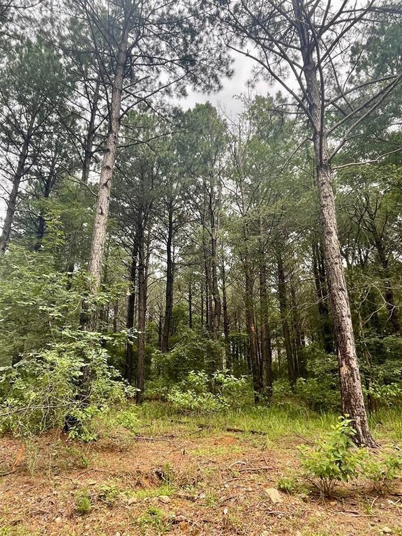 2 Upper Vista Ridge Trail Property Photo 1