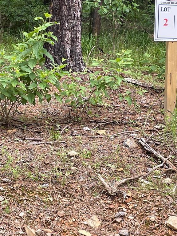 2 Upper Vista Ridge Trail Property Photo 4