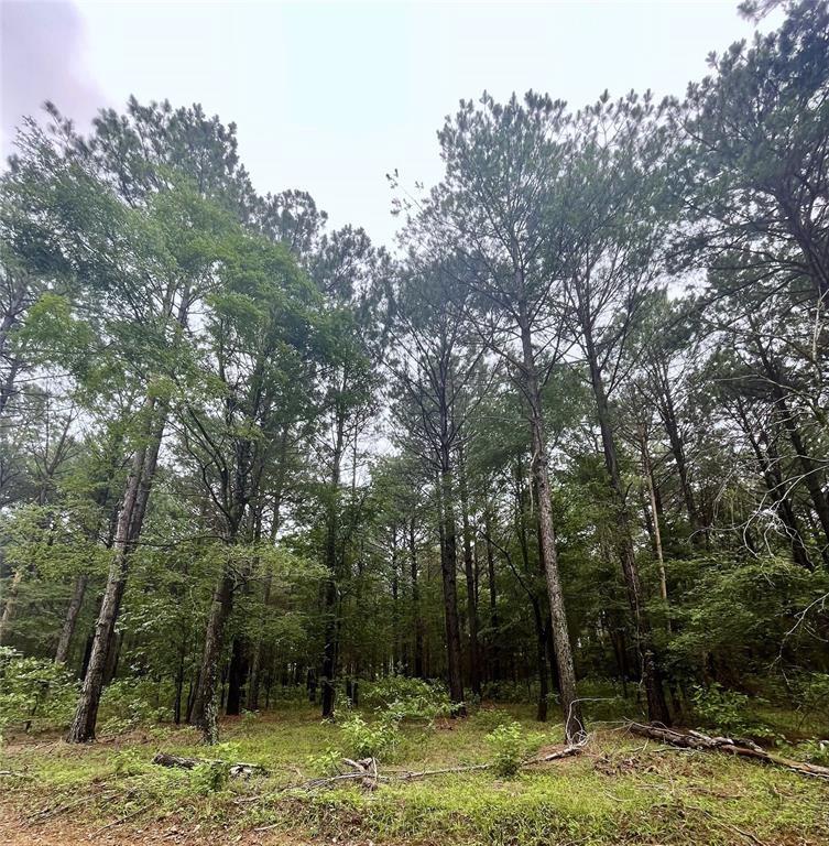 4 Upper Vista Ridge Trail Property Photo 2
