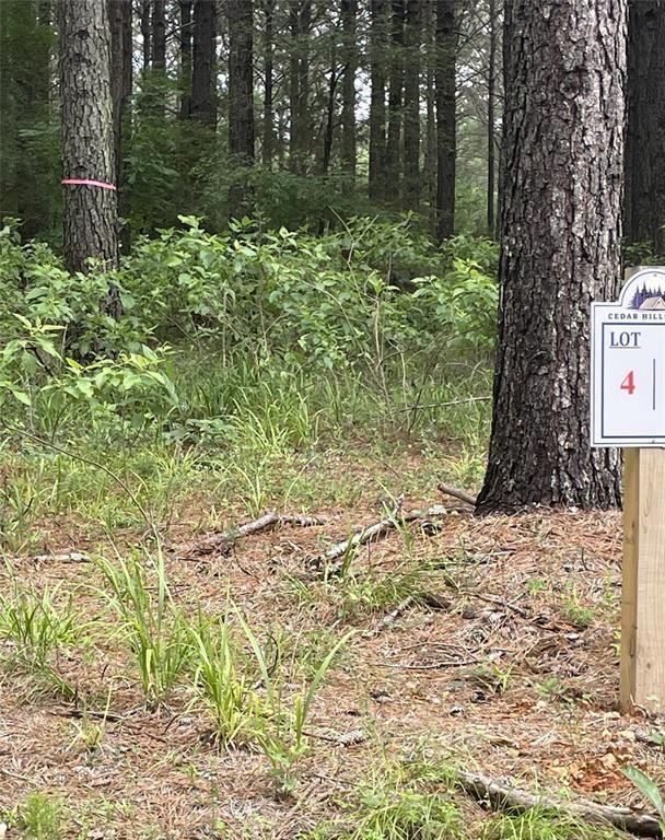 4 Upper Vista Ridge Trail Property Photo 3