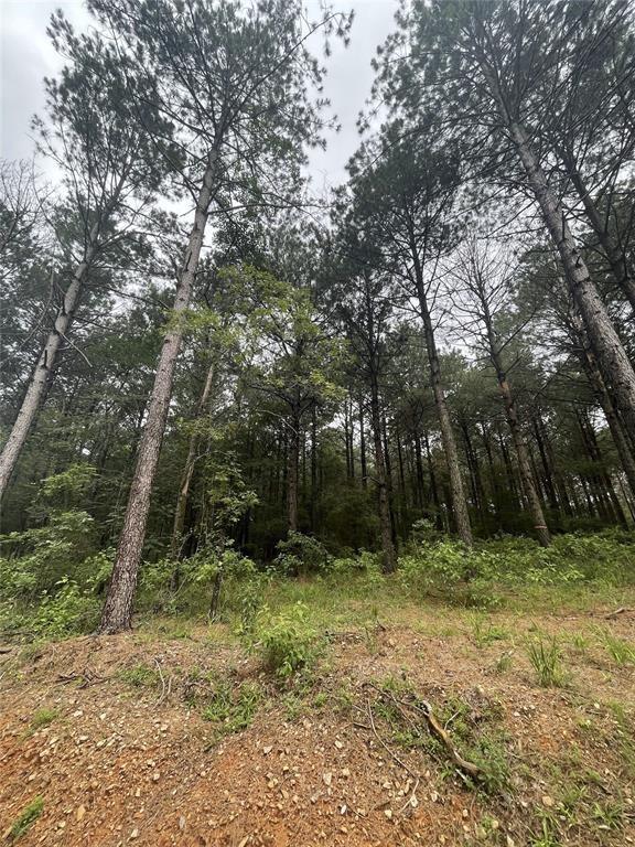 4 Upper Vista Ridge Trail Property Photo 4