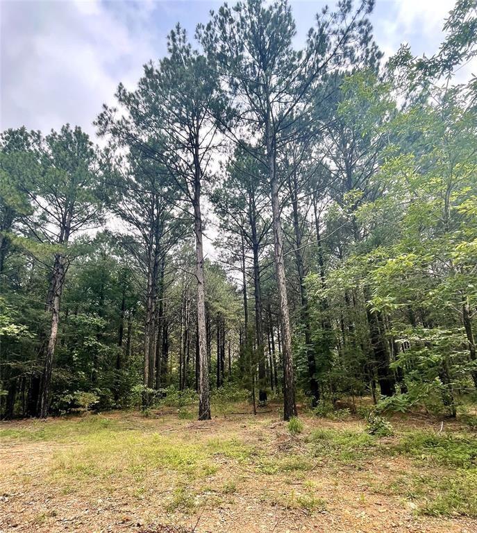 6 Upper Vista Ridge Trail Property Photo 2