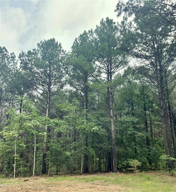 6 Upper Vista Ridge Trail Property Photo 3
