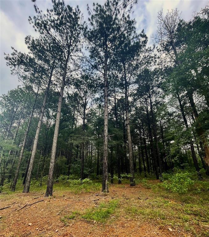 8 Upper Vista Ridge Trail Property Photo 3