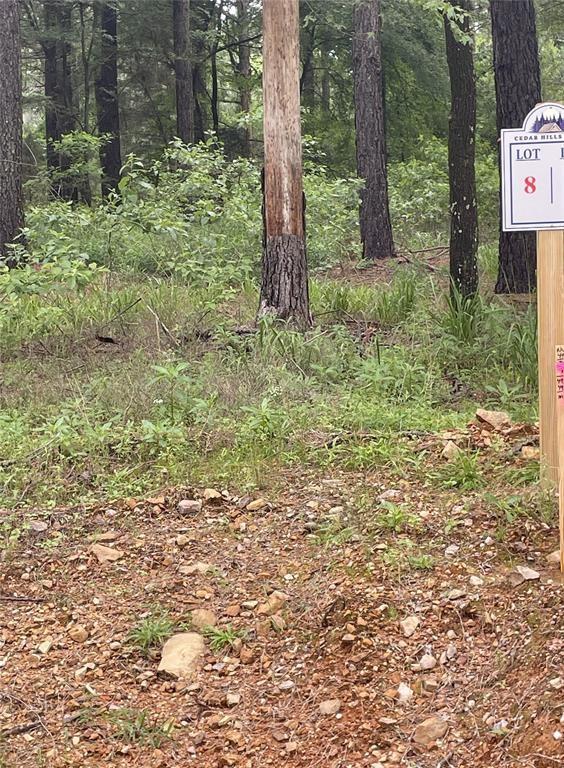 8 Upper Vista Ridge Trail Property Photo 4