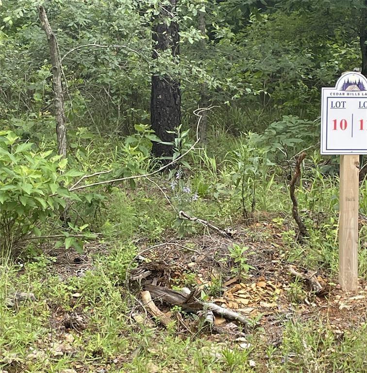 10 Upper Vista Ridge Trail Property Photo 3