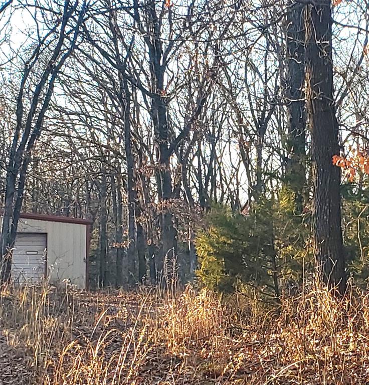22602 Coker Road Property Photo 4
