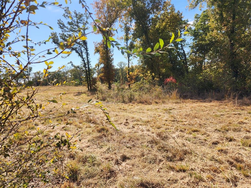 00001 Ew 1300 Road Property Photo 8