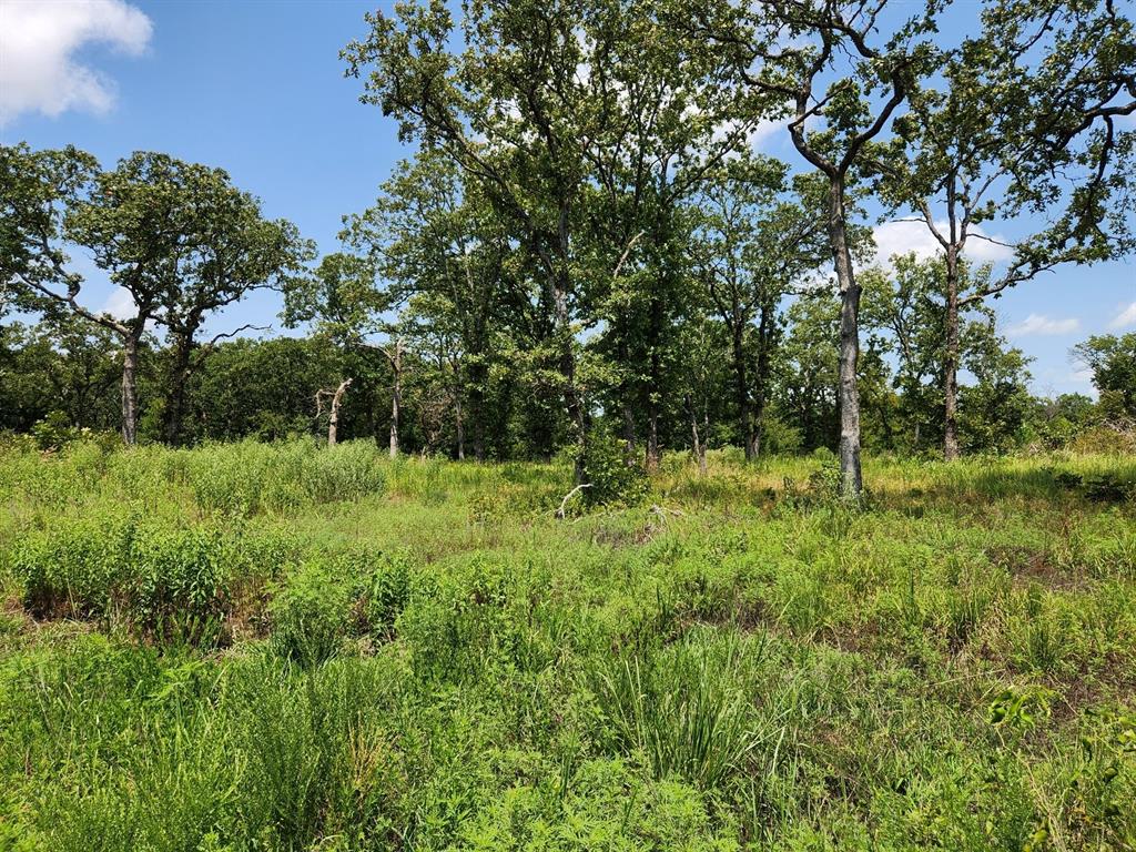00001 Ew 1300 Road Property Photo 16