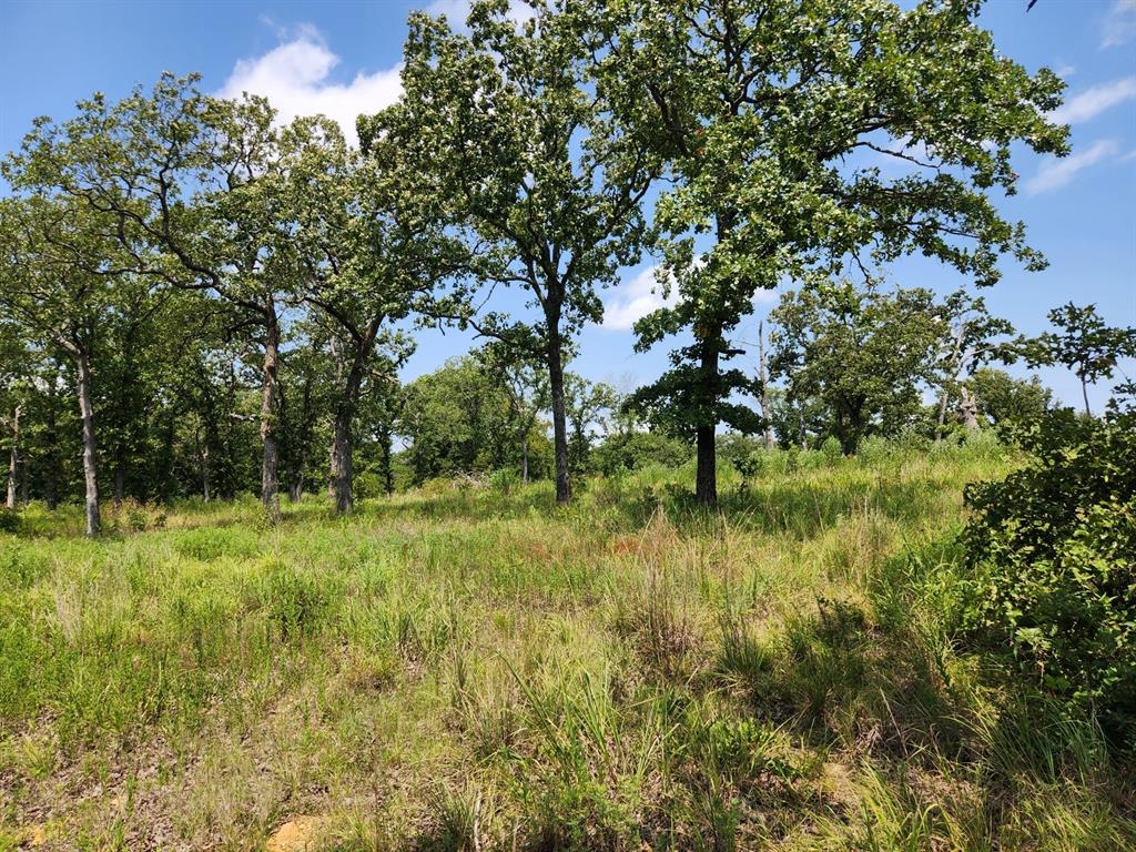 00001 Ew 1300 Road Property Photo 17