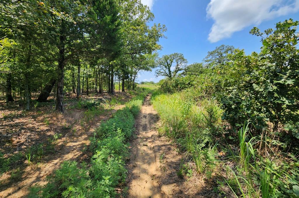 00001 Ew 1300 Road Property Photo 19