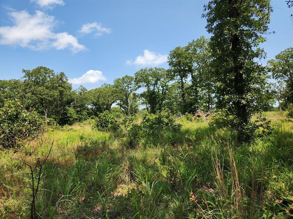 00001 Ew 1300 Road Property Photo 21