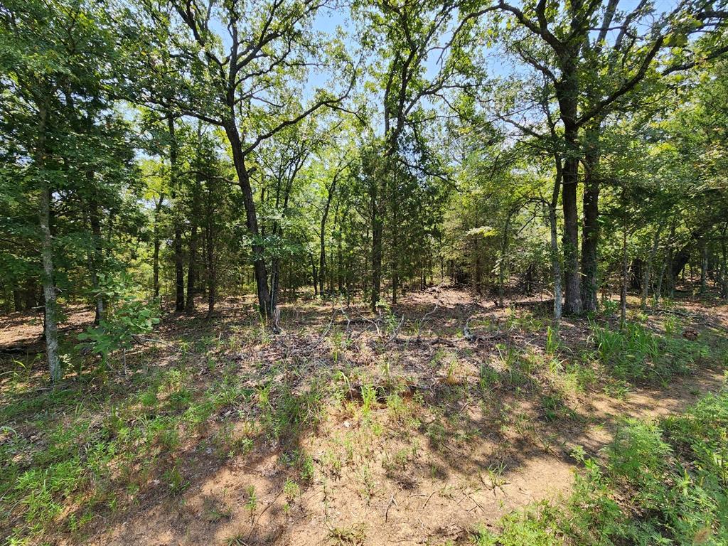 00001 Ew 1300 Road Property Photo 23