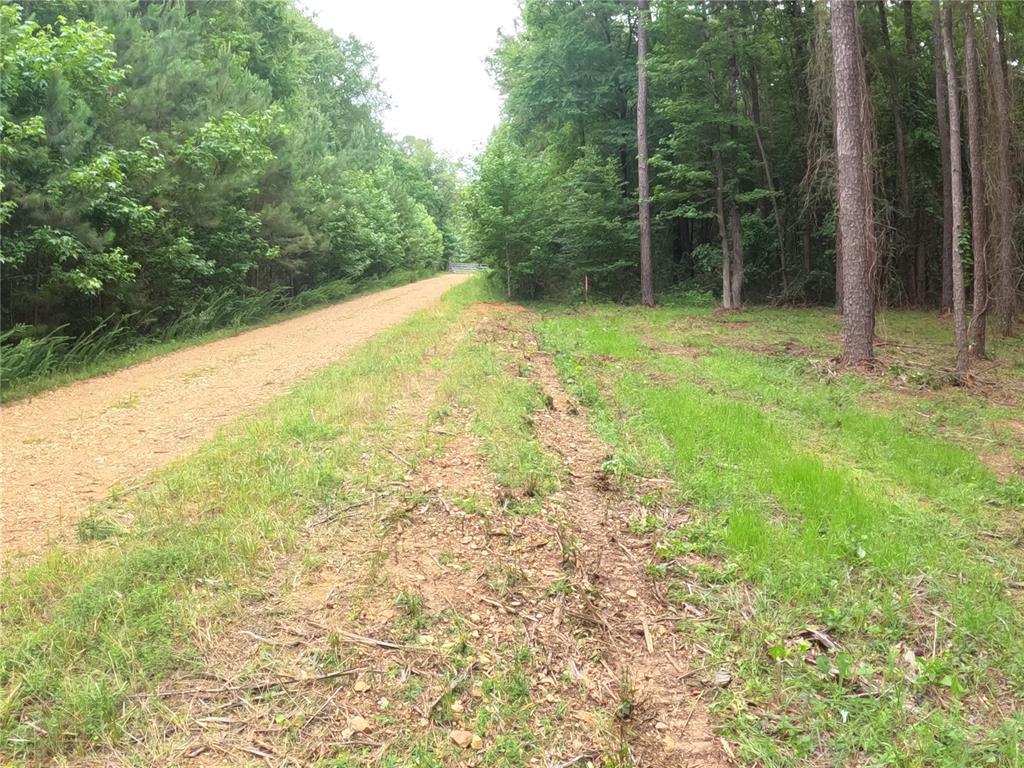 Fannie Mae Lot 1 Drive Property Photo 6
