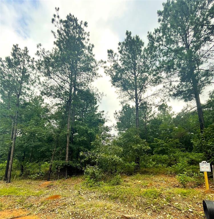 11 Upper Vista Ridge Trail Property Photo 1