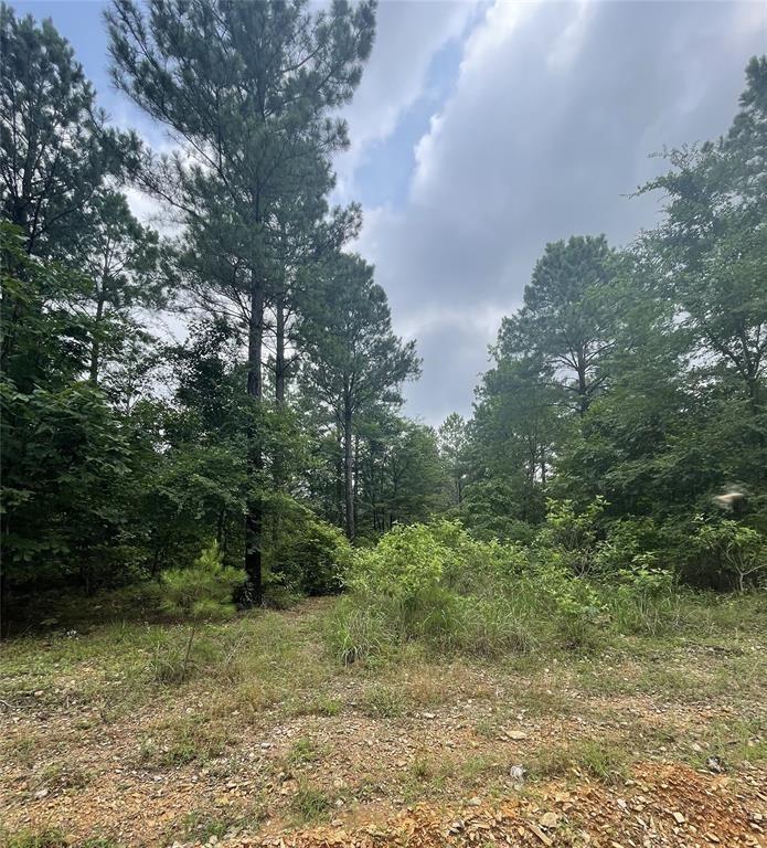 11 Upper Vista Ridge Trail Property Photo 2