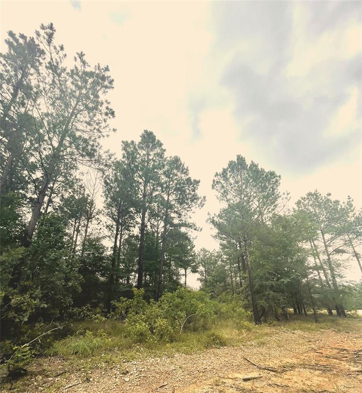 12 Cedar Hills Trail Property Photo 2