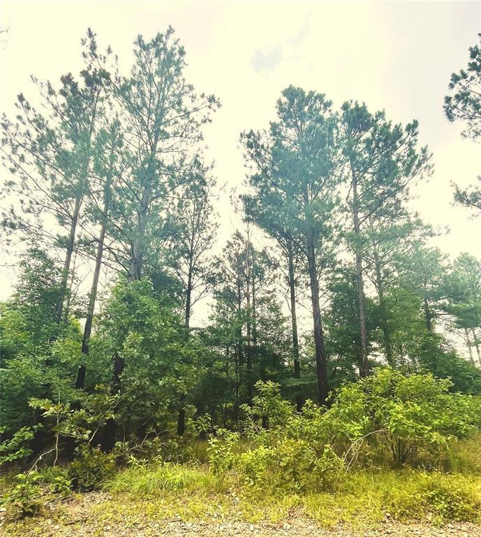 12 Cedar Hills Trail Property Photo 3