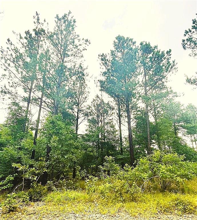 12 Cedar Hills Trail Property Photo 4