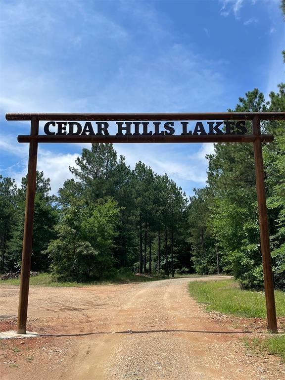 13 Cedar Hills Trail Property Photo 1