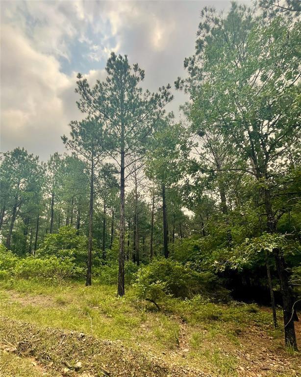 13 Cedar Hills Trail Property Photo 2