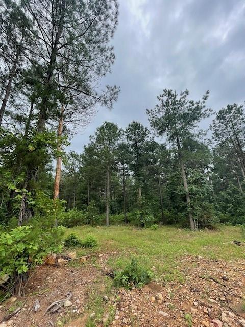 14 Cedar Hills Trail Property Photo 1