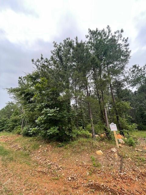 14 Cedar Hills Trail Property Photo 2