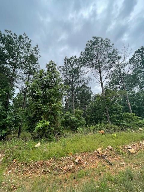 14 Cedar Hills Trail Property Photo 4