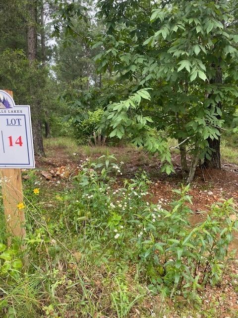 14 Cedar Hills Trail Property Photo 5