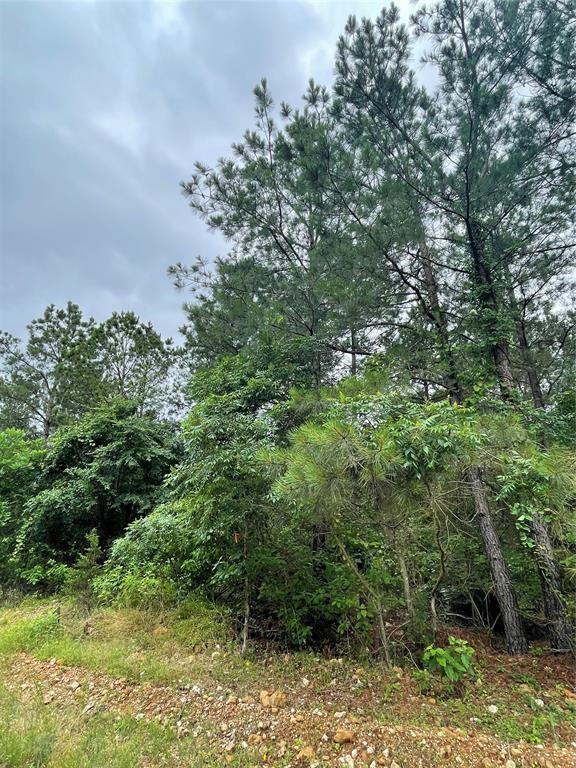 15 Cedar Hills Trail Property Photo