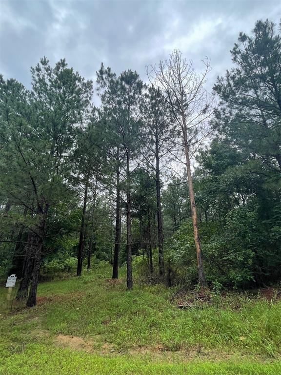 16 Cedar Hills Trail Property Photo