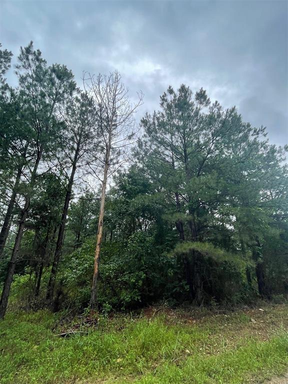 16 Cedar Hills Trail Property Photo 2