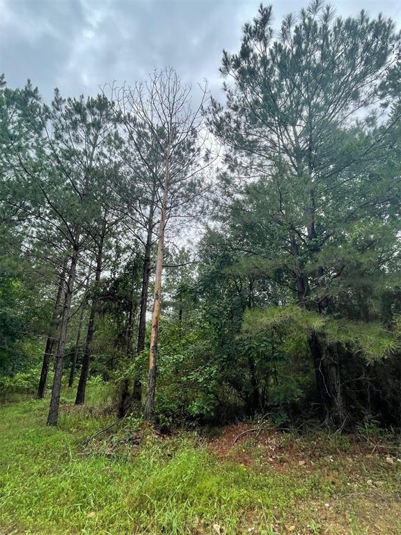 16 Cedar Hills Trail Property Photo 3