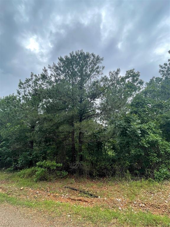 16 Cedar Hills Trail Property Photo 5