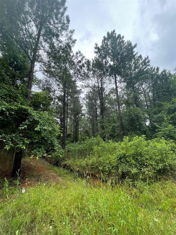 18 Cedar Hills Trail Property Photo 2