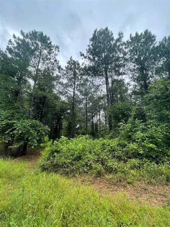 18 Cedar Hills Trail Property Photo 3