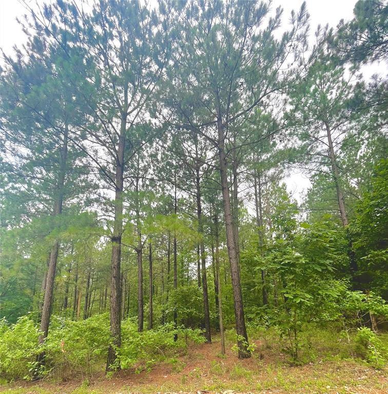 21 Lost Bullpine Lane Property Photo