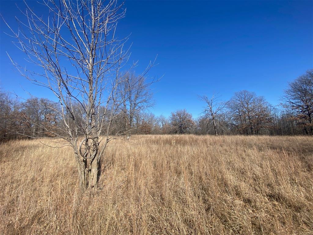 0000 Ns 3615 Road Property Photo 3