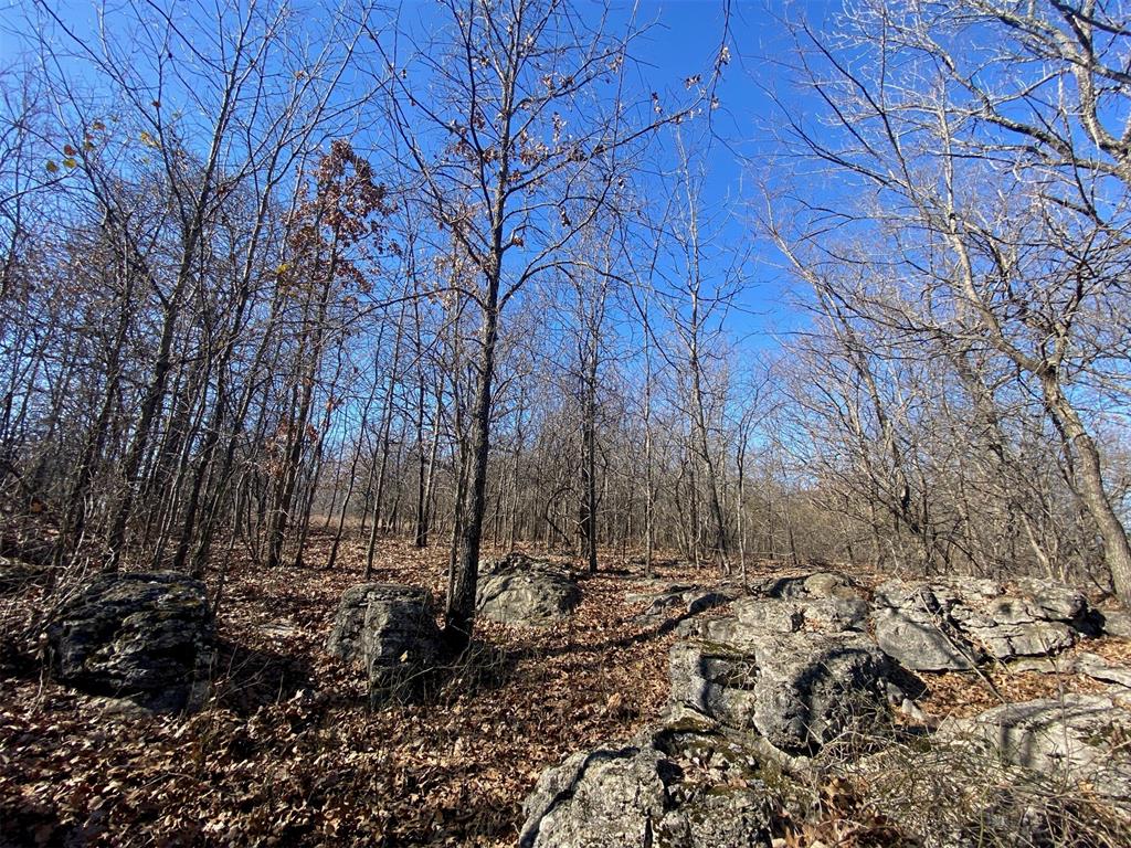 0000 Ns 3615 Road Property Photo 9