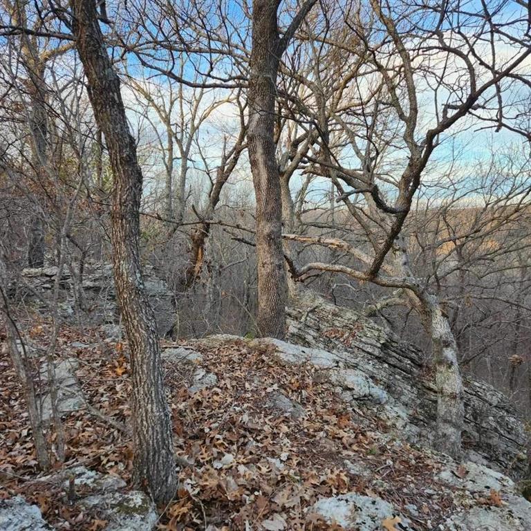 0000 Ns 3615 Road Property Photo 10