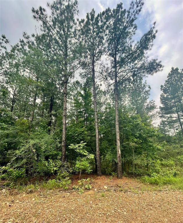 22 Upper Vista Ridge Trail Property Photo 1