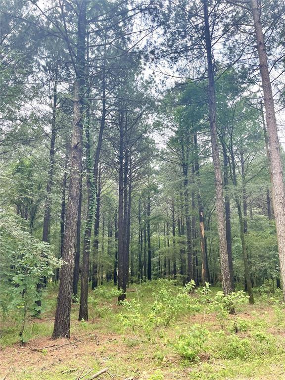 26 Upper Vista Ridge Trail Property Photo 3