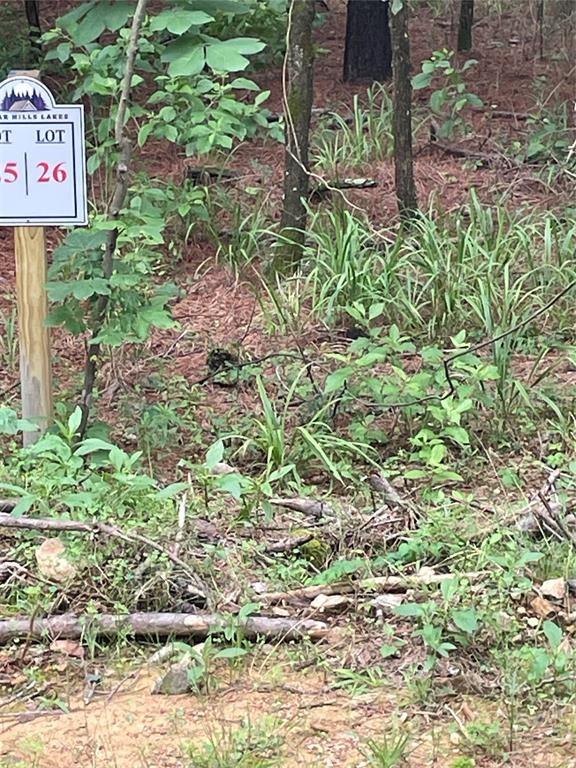 26 Upper Vista Ridge Trail Property Photo 5